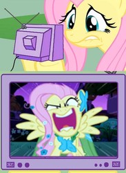 Size: 442x604 | Tagged: safe, fluttershy, g4, exploitable meme, fluttercry, flutterrage, meme, sad, tv meme