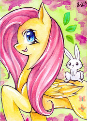 Size: 500x696 | Tagged: safe, artist:greyradian, angel bunny, fluttershy, g4, black outlines, raised hoof, side view, traditional art