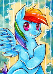 Size: 500x696 | Tagged: safe, artist:greyradian, rainbow dash, pegasus, pony, g4, female, mare, raised hoof, smiling, solo, spread wings, wings