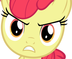 Size: 6000x4934 | Tagged: safe, artist:stayeend, apple bloom, earth pony, pony, g4, just for sidekicks, season 3, absurd resolution, adorabloom, angry, apple bloom is not amused, close-up, cute, cute when angry, female, filly, gritted teeth, madorable, narrowed eyes, simple background, solo, transparent background, unamused, vector