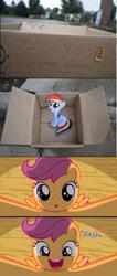 Size: 597x1408 | Tagged: safe, rainbow dash, scootaloo, pegasus, pony, fanfic:my little dashie, g4, cute, cutealoo, dashabetes, dashie meme, exploitable meme, good people finding dash meme, meme