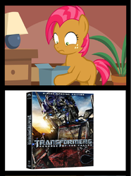 Size: 892x1200 | Tagged: safe, babs seed, g4, bad gift meme, bayformers, exploitable meme, meme, revenge of the fallen, transformers