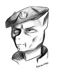 Size: 467x593 | Tagged: safe, artist:anonymous, pony, dat face soldier, grayscale, kosovo je srbija, monochrome, ponified, remove kebab, simple background, solo, white background