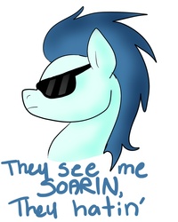 Size: 2000x2500 | Tagged: safe, artist:ashlynmew, soarin', pony, g4, bust, male, portrait, solo, sunglasses, text