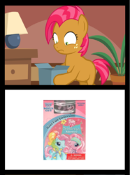 Size: 651x876 | Tagged: safe, babs seed, earth pony, pony, g3, g4, twinkle wish adventure, bad gift meme, exploitable meme, meme