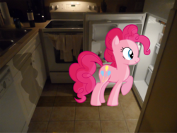 Size: 1827x1371 | Tagged: safe, artist:sketchpadjacob, pinkie pie, g4, dishwasher, female, hungry, indoors, kitchen, lighting, mare, night, oven, ponies in real life, raised hoof, refrigerator, shadow, smiling, solo, stove, vector