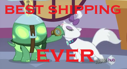 Size: 637x349 | Tagged: safe, edit, edited screencap, screencap, opalescence, tank, g4, just for sidekicks, my little pony: friendship is magic, caption, female, hub logo, male, opaltank, shipping, straight