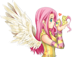 Size: 1119x895 | Tagged: safe, artist:d-tomoyo, fluttershy, human, pony, g4, :o, blushing, clothes, cute, evening gloves, eye contact, female, heart, holding a pony, human ponidox, humanized, in goliath's palm, looking at each other, micro, open mouth, shyabetes, simple background, solo, spread wings, tiny, tiny ponies, transparent background, winged humanization, wings