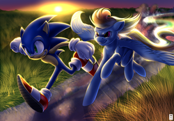 Size: 1024x713 | Tagged: dead source, safe, artist:rannylk, rainbow dash, pegasus, pony, anthro, g4, backlighting, crossover, duo, female, flying, glare, grass, grin, male, mare, path, racing, running, smiling, sonic the hedgehog, sonic the hedgehog (series), spread wings, sunset