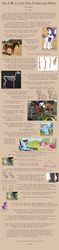 Size: 896x3816 | Tagged: safe, artist:pix3m, edit, edited screencap, screencap, pinkie pie, rainbow dash, rarity, twilight sparkle, pony, g4, anatomically incorrect, anatomy, anatomy guide, drawing tutorial, female, incorrect leg anatomy, mare, photo, text, tutorial