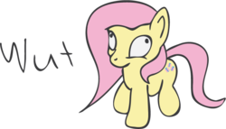 Size: 701x401 | Tagged: safe, artist:finalflutter, fluttershy, g4, derp, wat