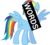 Size: 665x600 | Tagged: safe, rainbow dash, g4, pony confessions, roboto, text