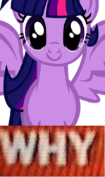 Size: 288x483 | Tagged: safe, artist:advance, twilight sparkle, alicorn, pony, g4, alicorn drama, meme, why.jpg