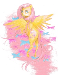 Size: 2019x2572 | Tagged: safe, artist:92-pink-ravens, fluttershy, pony, g4, female, solo, traditional art