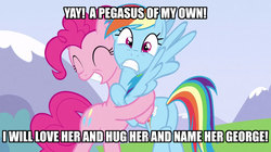 Size: 1280x718 | Tagged: safe, pinkie pie, rainbow dash, g4, image macro