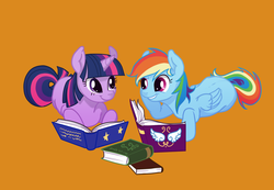 Size: 1280x884 | Tagged: safe, artist:purmu, rainbow dash, twilight sparkle, g4, book, reading, ship:twidash