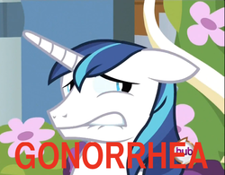 Size: 602x469 | Tagged: safe, shining armor, g4, gmod idiot box, gonorrhea