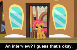 Size: 1024x672 | Tagged: safe, babs seed, comic:celestia's servant interview, g4, caption, filly, foal, interview, meta