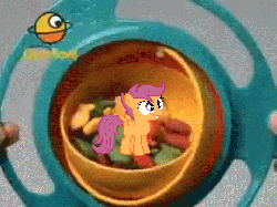 Size: 512x384 | Tagged: safe, scootaloo, sweetie belle, g4, animated, female, gyro bowl, irl, photo