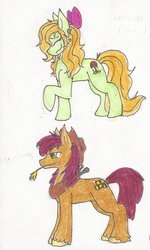 Size: 767x1280 | Tagged: safe, artist:pheonixfoxblood24, oc, oc only, applejack's parents