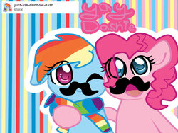 Size: 1280x960 | Tagged: safe, pinkie pie, rainbow dash, ask pinkie pie mustache, g4, clothes, mousdash, moustache, scarf