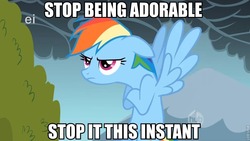 Size: 830x467 | Tagged: safe, edit, screencap, rainbow dash, pony, g4, caption, crossed hooves, cute, female, floppy ears, flying, frown, glare, image macro, solo, spread wings, unamused