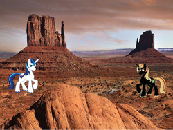Size: 1024x769 | Tagged: safe, shining armor, g4, clone, doppelganger, fight, irl, photo, ponies in real life, recolor, scenery