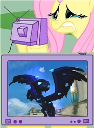 Size: 595x810 | Tagged: safe, fluttershy, wyvern, g4, crossover, exploitable meme, fluttercry, meme, skylanders, tv meme, vathek