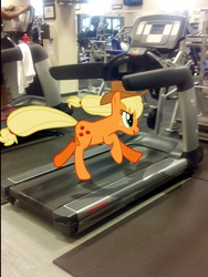 Size: 1543x2048 | Tagged: safe, artist:emedina13, applejack, g4, irl, photo, ponies in real life, running, treadmill, vector