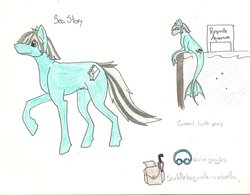 Size: 900x702 | Tagged: safe, artist:avidrak, oc, oc only, earth pony, merpony, pony