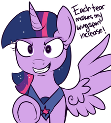 Size: 315x350 | Tagged: safe, artist:lulubell, twilight sparkle, alicorn, pony, g4, magical mystery cure, alicorn drama, female, grin, mare, simple background, twilight sparkle (alicorn), white background