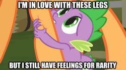 Size: 623x350 | Tagged: safe, edit, edited screencap, screencap, applejack, spike, dragon, pony, g4, spike at your service, caption, female, image macro, male, ship:applespike, shipping, straight, text