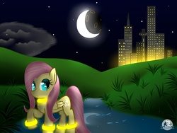 Size: 1400x1050 | Tagged: safe, artist:mechashockwave, fluttershy, pegasus, pony, g4, bracelet, future, necklace, night