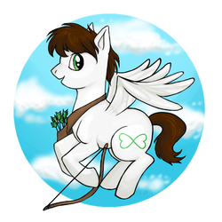 Size: 700x700 | Tagged: safe, artist:cheeselover4, oc, oc only, pegasus, pony, arrow, bow (weapon), quiver