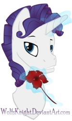 Size: 692x1155 | Tagged: safe, artist:wolfsknight, rarity, pony, g4, elusive, flower, magic, rule 63, solo