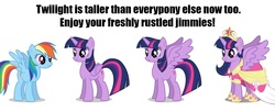 Size: 1505x610 | Tagged: safe, rainbow dash, twilight sparkle, alicorn, pony, g4, magical mystery cure, alicorn drama, jimmies, twilicorn spotlight drama, twilight sparkle (alicorn)