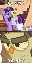 Size: 500x987 | Tagged: safe, owlowiscious, spike, twilight sparkle, g4, image macro