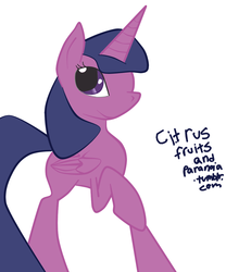 Size: 1000x1200 | Tagged: safe, artist:citrusfruitsandparanoia, twilight sparkle, alicorn, pony, g4, 30 minute art challenge, female, mare, twilight sparkle (alicorn)