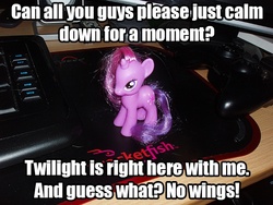 Size: 640x480 | Tagged: safe, twilight sparkle, g4, alicorn drama, brushable, female, irl, photo, toy