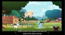 Size: 1096x600 | Tagged: safe, screencap, fluttershy, rainbow dash, g4, may the best pet win, find a pet, youtube caption