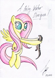 Size: 1159x1641 | Tagged: safe, artist:jacquibim, fluttershy, lizard, reptile, g4, water dragon