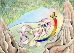 Size: 1676x1184 | Tagged: safe, artist:jacquibim, fluttershy, butterfly, g4