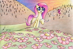 Size: 1675x1139 | Tagged: safe, artist:jacquibim, fluttershy, g4, traditional art