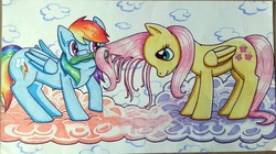 Size: 1492x838 | Tagged: safe, artist:askamberfawn, fluttershy, rainbow dash, g4, brushie, traditional art