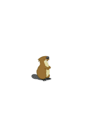 Size: 744x1052 | Tagged: safe, artist:lunchwere, beaver, simple background, transparent background, vector