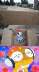 Size: 497x900 | Tagged: safe, rainbow dash, pegasus, pony, g4, blushing, dashie meme, evil people finding dash meme, exploitable meme, implied foalcon, keroro, kururu, sergeant frog, swirly eyes