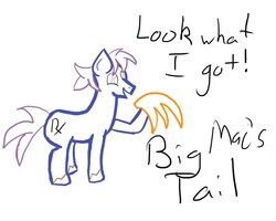Size: 999x799 | Tagged: safe, artist:ajtexasranger, oc, oc only, earth pony, pony, tail