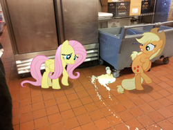 Size: 2048x1536 | Tagged: safe, artist:emedina13, applejack, fluttershy, g4, carton, eggnog, kitchen, ponies in real life, sad, spill