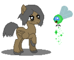 Size: 290x238 | Tagged: safe, parasprite, brandon sanderson, crossover, kaladin, ponified, stormlight archive, sylphara, way of kings