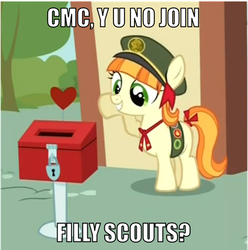 Size: 500x504 | Tagged: safe, edit, edited screencap, screencap, tag-a-long, pony, g4, just for sidekicks, female, filly guides, grin, hilarious in hindsight, image macro, implied cmc, implied cutie mark crusaders, smiling, solo, thin mint, y u no
